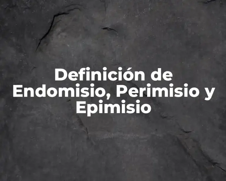 Definición de Endomisio, Perimisio y Epimisio