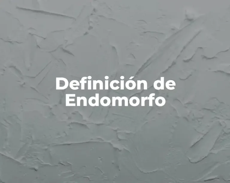 Definición de Endomorfo
