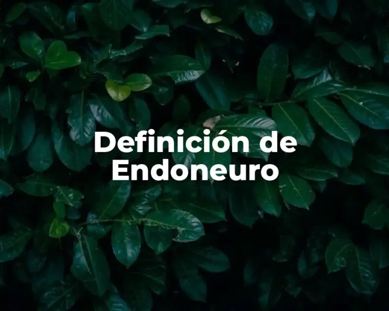 Definición de Endoneuro