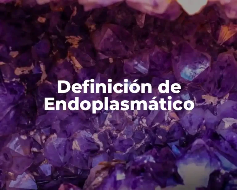 Definición de Endoplasmático