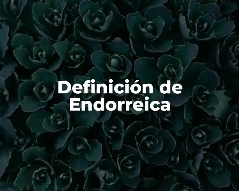 Definición de Endorreica