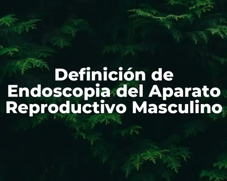 Definición de Endoscopia del Aparato Reproductivo Masculino