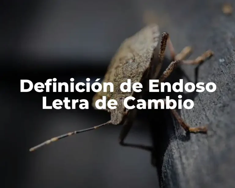 Definición de Endoso Letra de Cambio