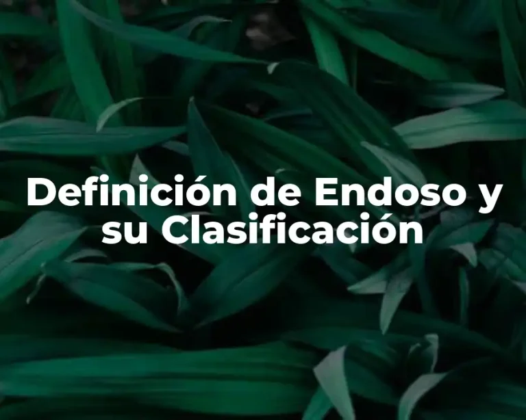 Definición de Endoso y su Clasificación