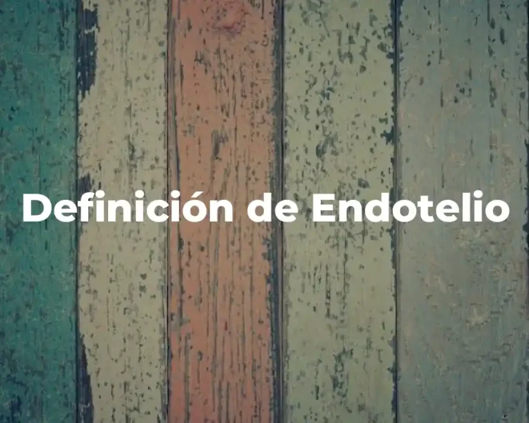 Definición de Endotelio