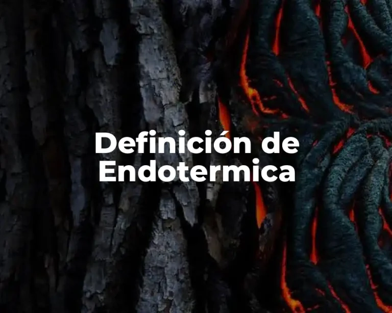 Definición de Endotermica