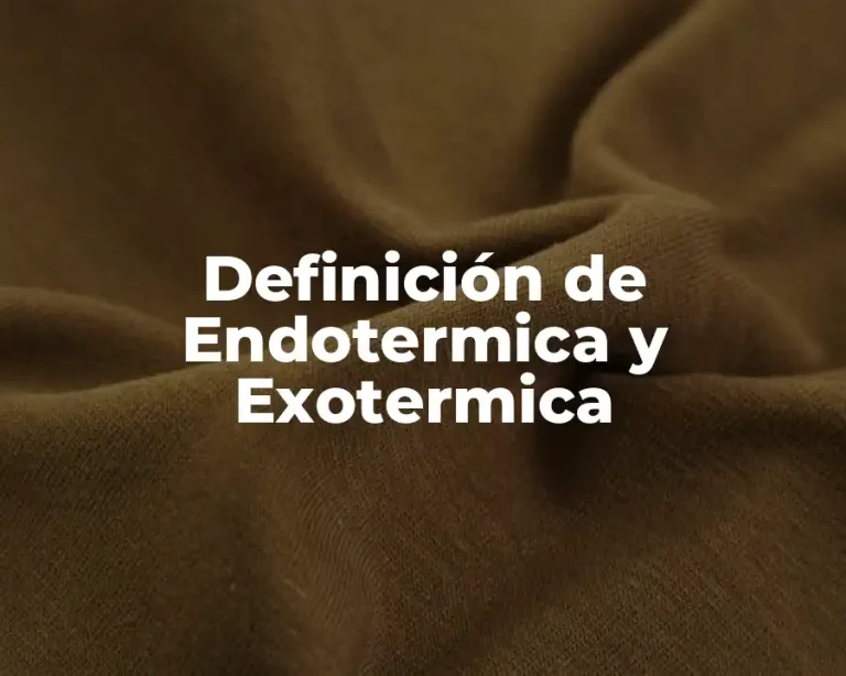 Definición de Endotermica y Exotermica