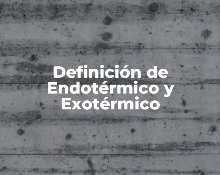 Definición de Endotérmico y Exotérmico