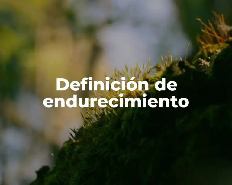 Definición de endurecimiento