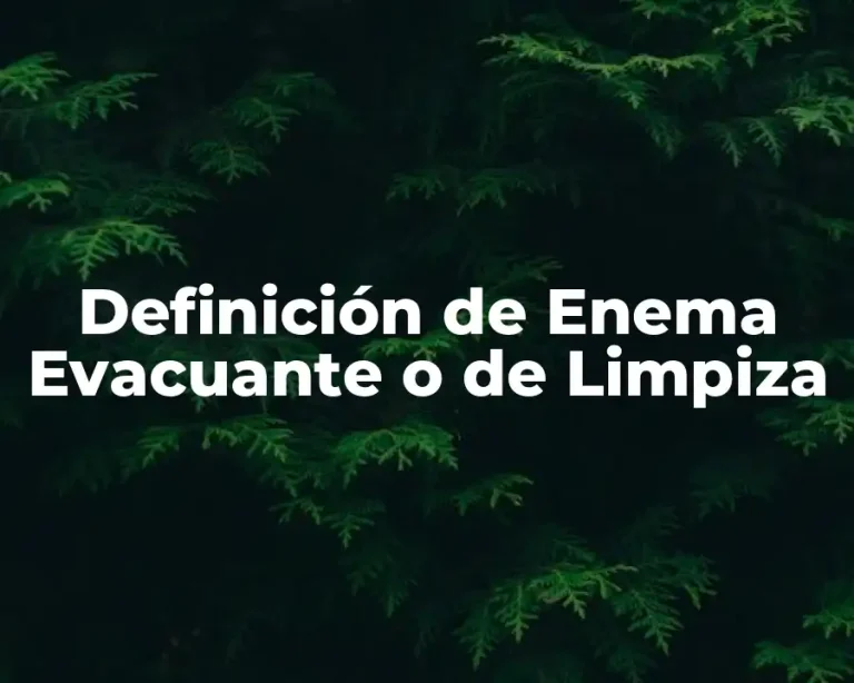 Definición de Enema Evacuante o de Limpiza