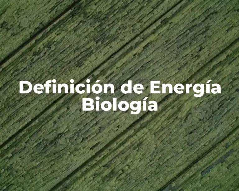 Definición de Energía Biología