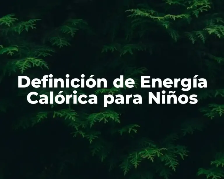 Definición de Energía Calórica para Niños