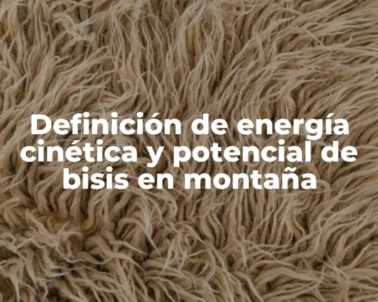 Definición de energía cinética y potencial de bisis en montaña