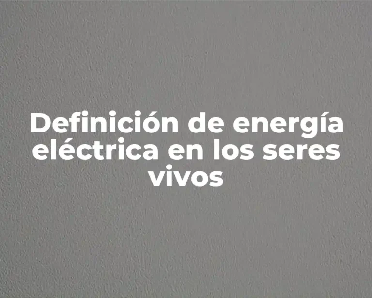 Definición de energía eléctrica en los seres vivos