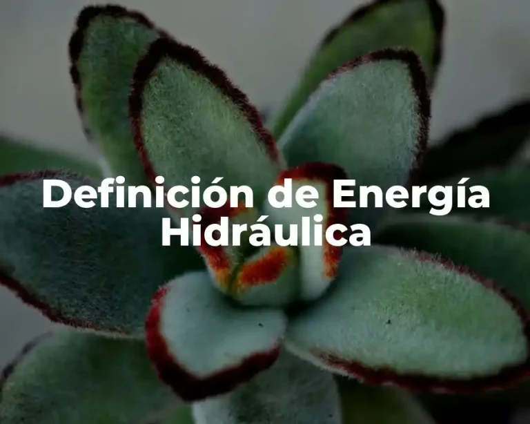 Definición de Energía Hidráulica