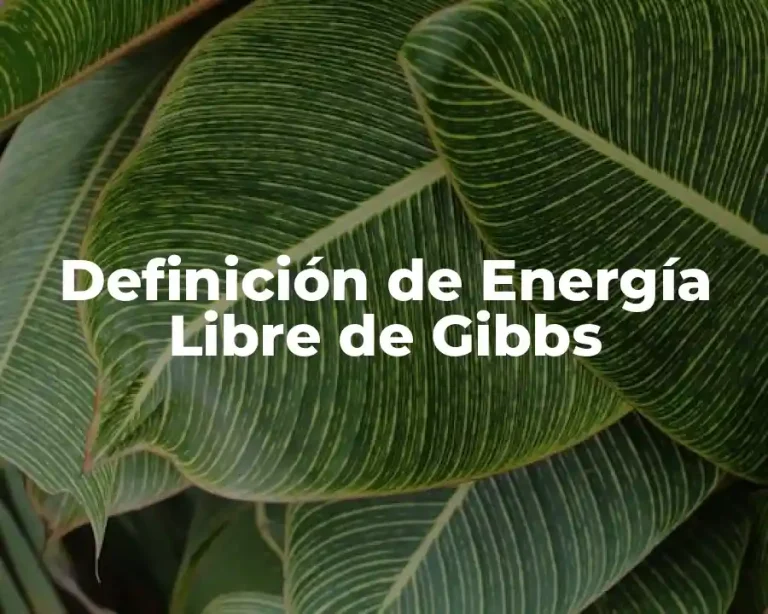 Definición de Energía Libre de Gibbs