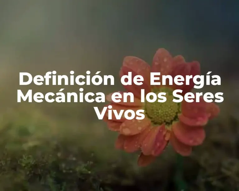 Definición de Energía Mecánica en los Seres Vivos
