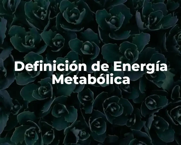 Definición de Energía Metabólica