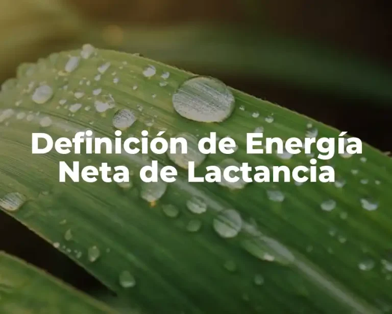 Definición de Energía Neta de Lactancia