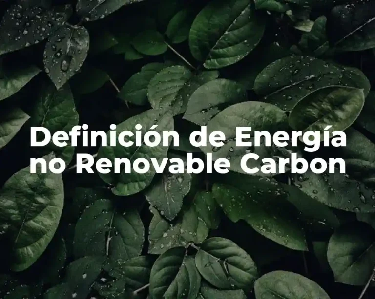 Definición de Energía no Renovable Carbon