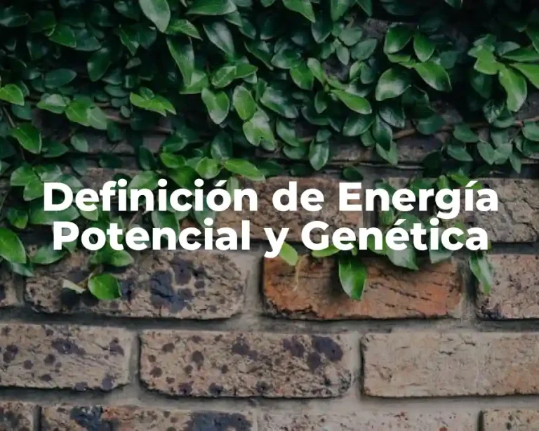 Definición de Energía Potencial y Genética