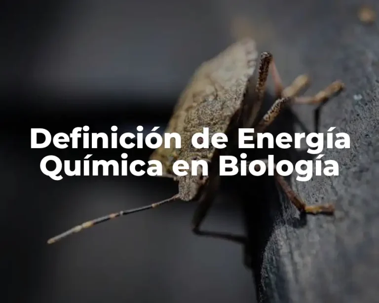 Definición de Energía Química en Biología