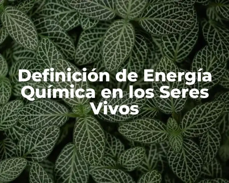 Definición de Energía Química en los Seres Vivos