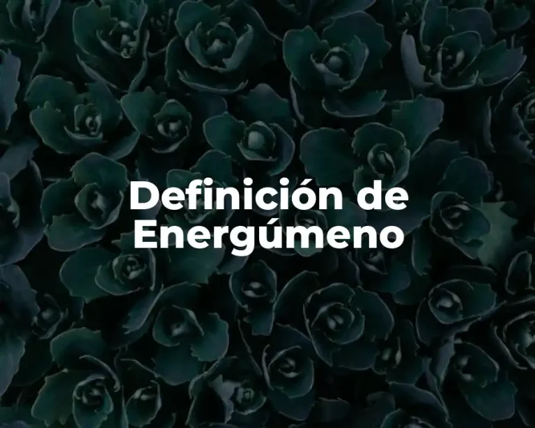 Definición de Energúmeno