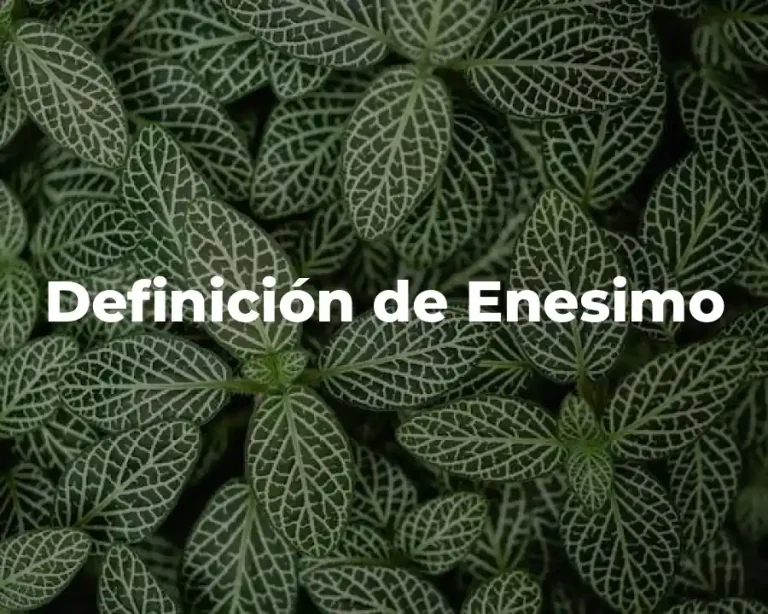 Definición de Enesimo