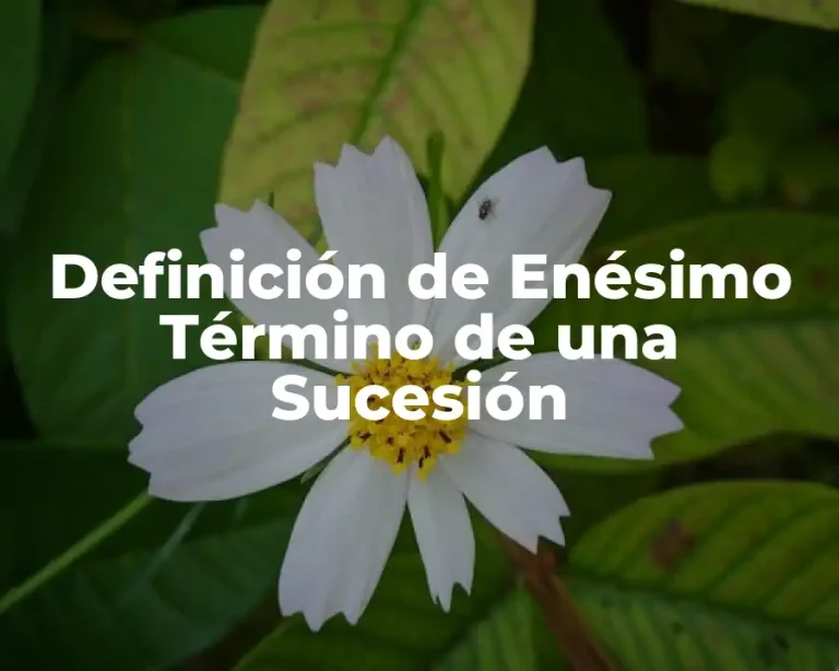 Definición de Enésimo Término de una Sucesión