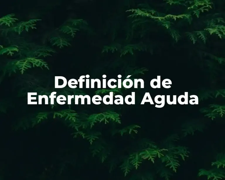 Definición de Enfermedad Aguda