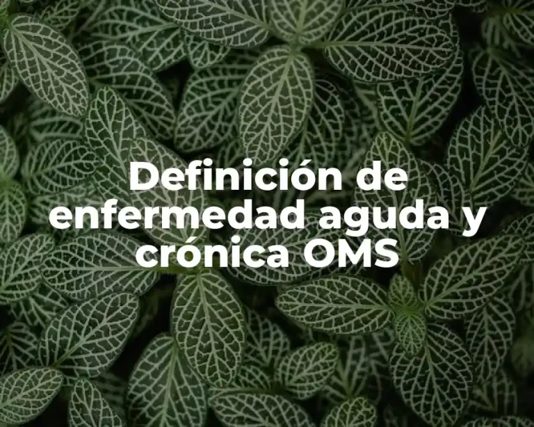 Definición de enfermedad aguda y crónica OMS