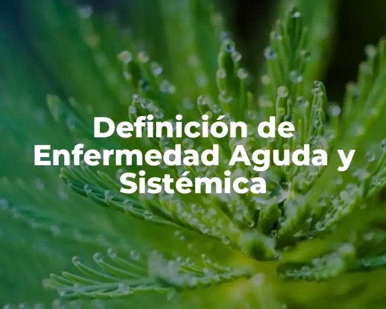 Definición de Enfermedad Aguda y Sistémica