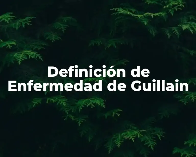 Definición de Enfermedad de Guillain