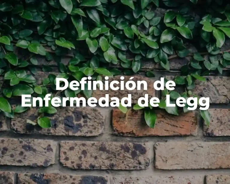 Definición de Enfermedad de Legg