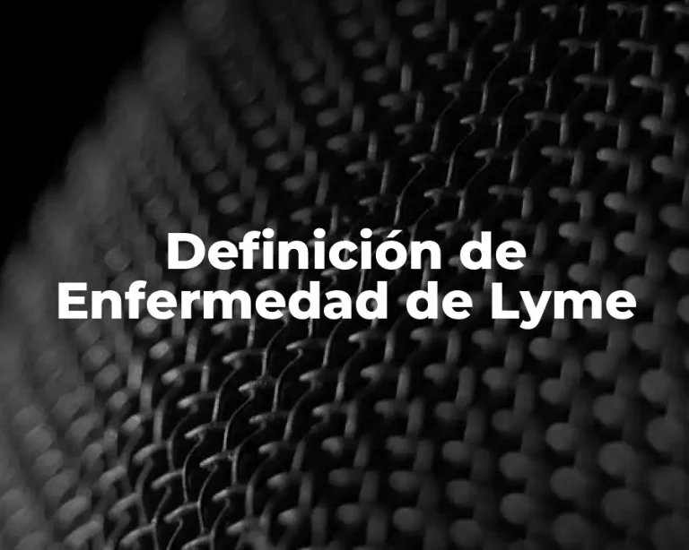 Definición de Enfermedad de Lyme