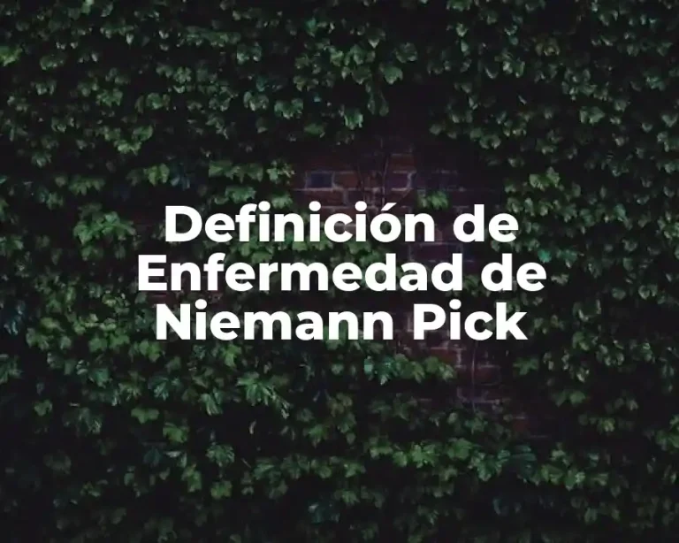 Definición de Enfermedad de Niemann Pick