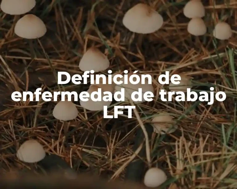 Definición de enfermedad de trabajo LFT