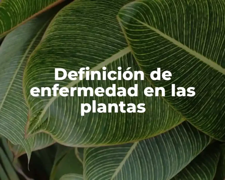 Definición de enfermedad en las plantas