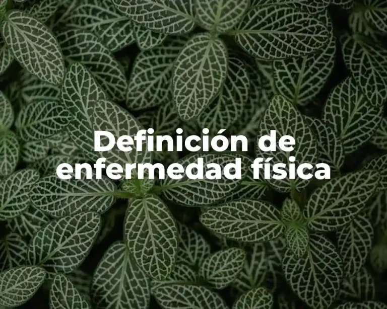 Definición de enfermedad física