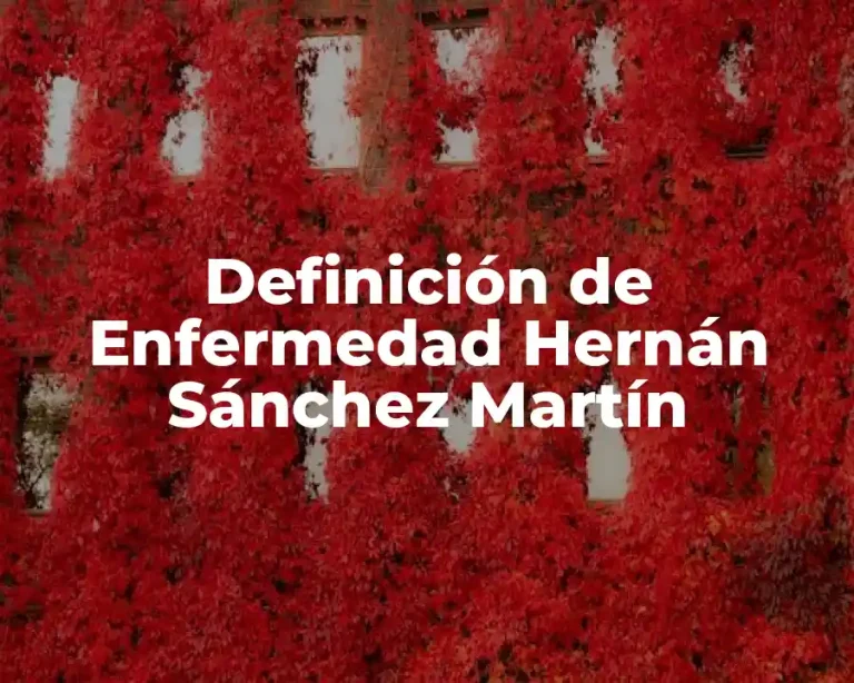Definición de Enfermedad Hernán Sánchez Martín