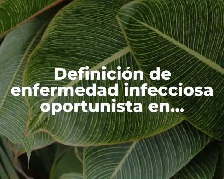 Definición de enfermedad infecciosa oportunista en microbiología