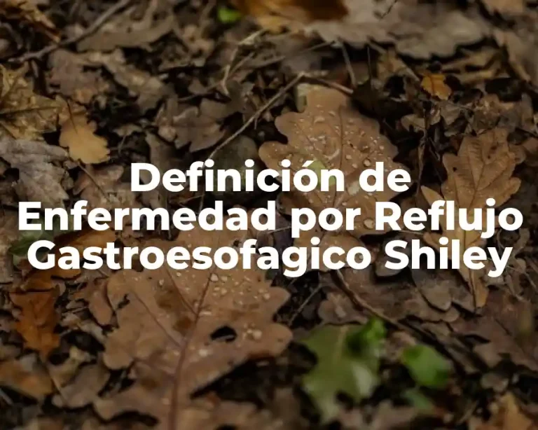 Definición de Enfermedad por Reflujo Gastroesofagico Shiley