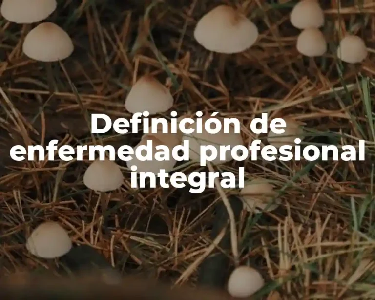 Definición de enfermedad profesional integral