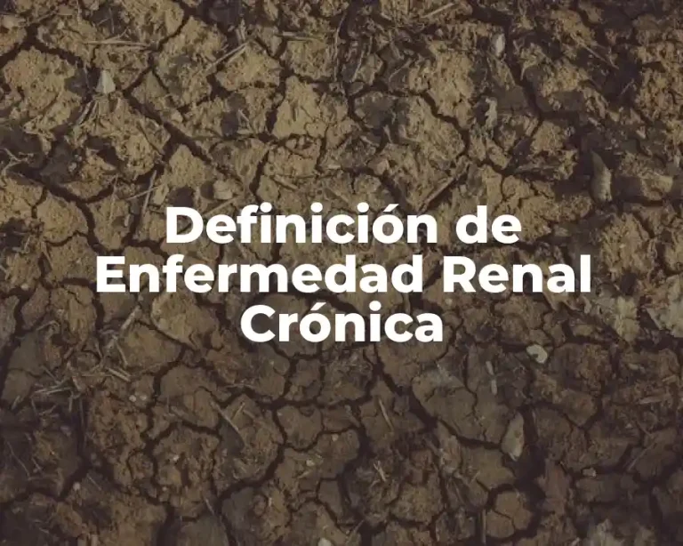 Definición de Enfermedad Renal Crónica