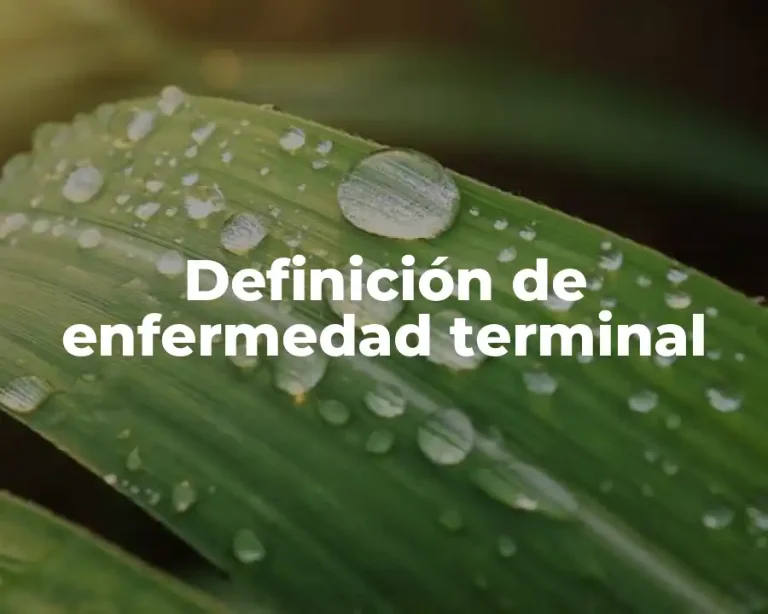 Definición de enfermedad terminal