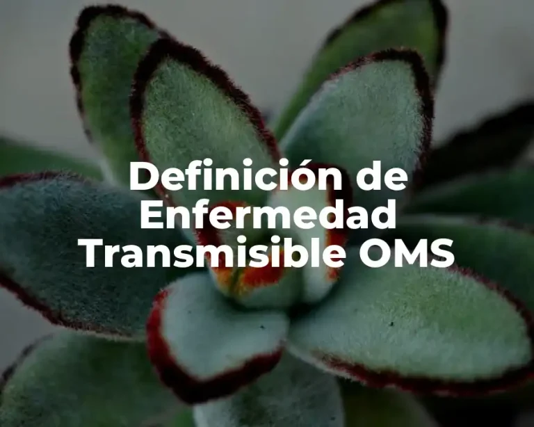 Definición de Enfermedad Transmisible OMS