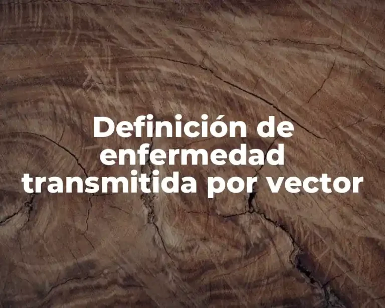 Definición de enfermedad transmitida por vector