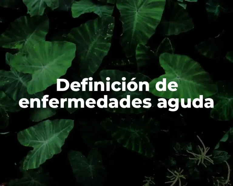 Definición de enfermedades aguda