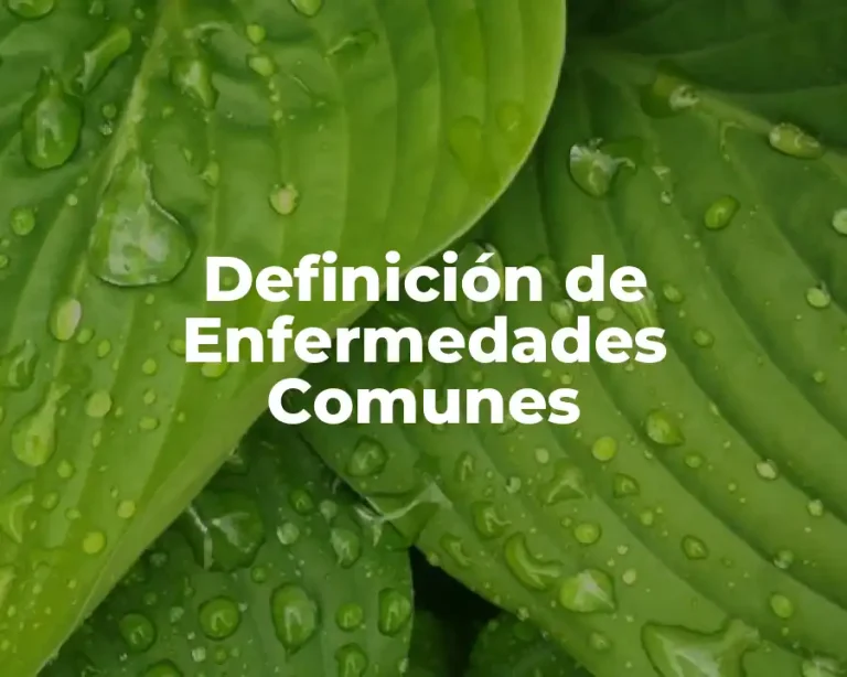 Definición de Enfermedades Comunes